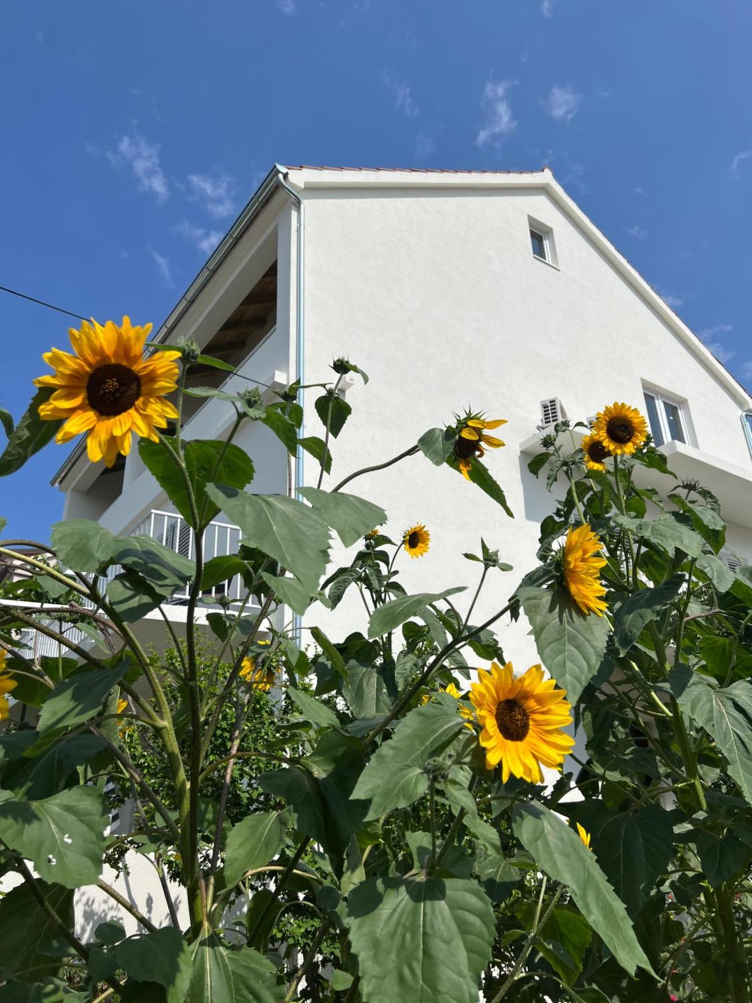 Apartments Nikola Stipisic ฮวาร์ ภายนอก รูปภาพ